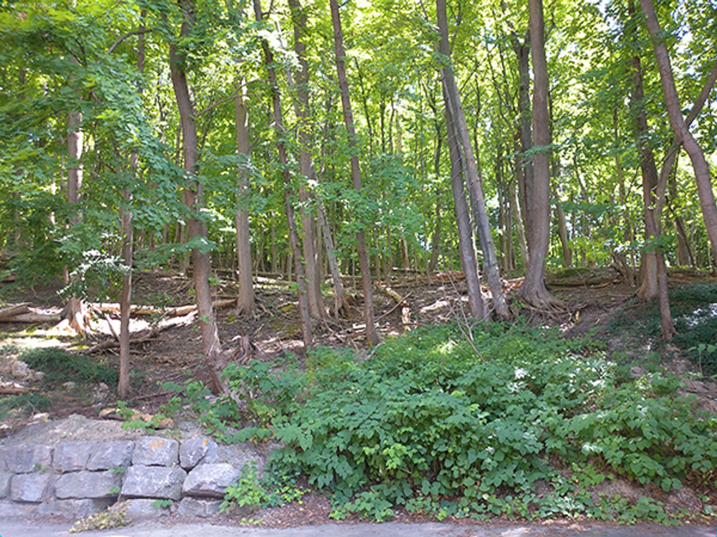 718 Euclid Ave – photo 5