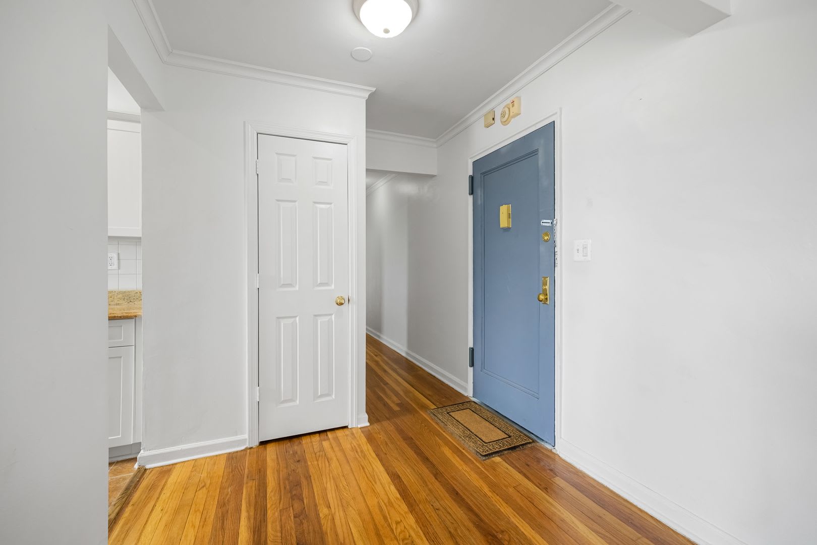 2335 Hudson Terrace – photo 4