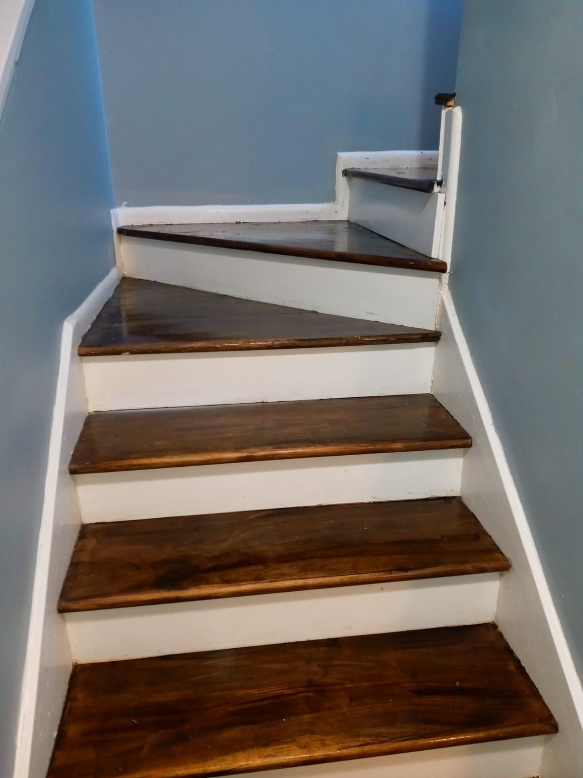 3381 Columbia Trce – photo 5