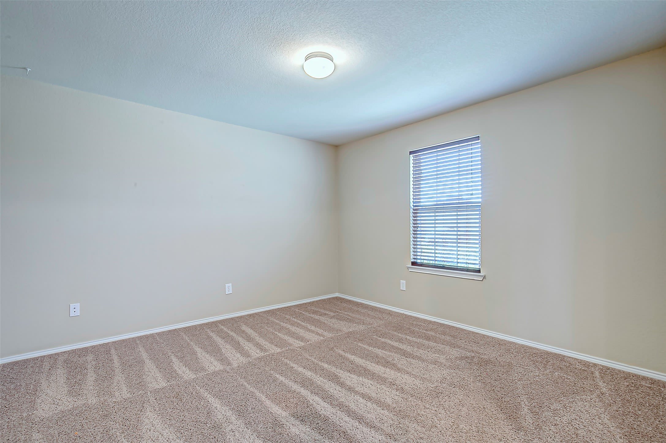 120 Abelia Drive – photo 5