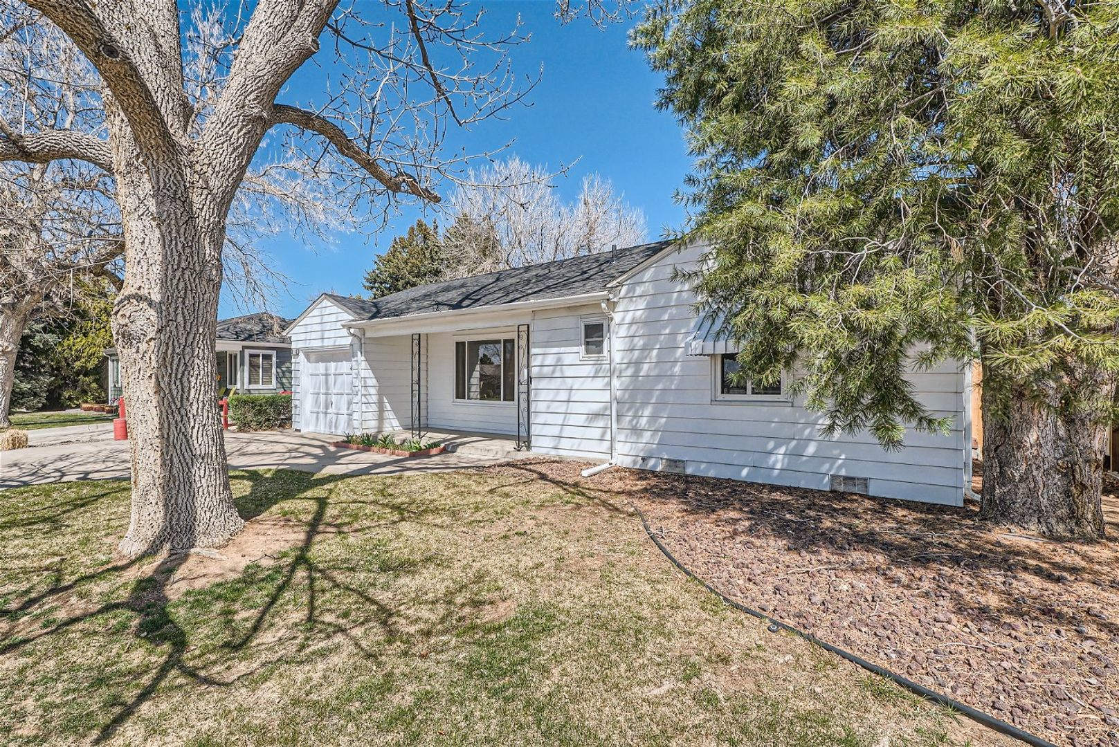 Beautiful 3 Bedroom Home In Denver Available In September – photo 4