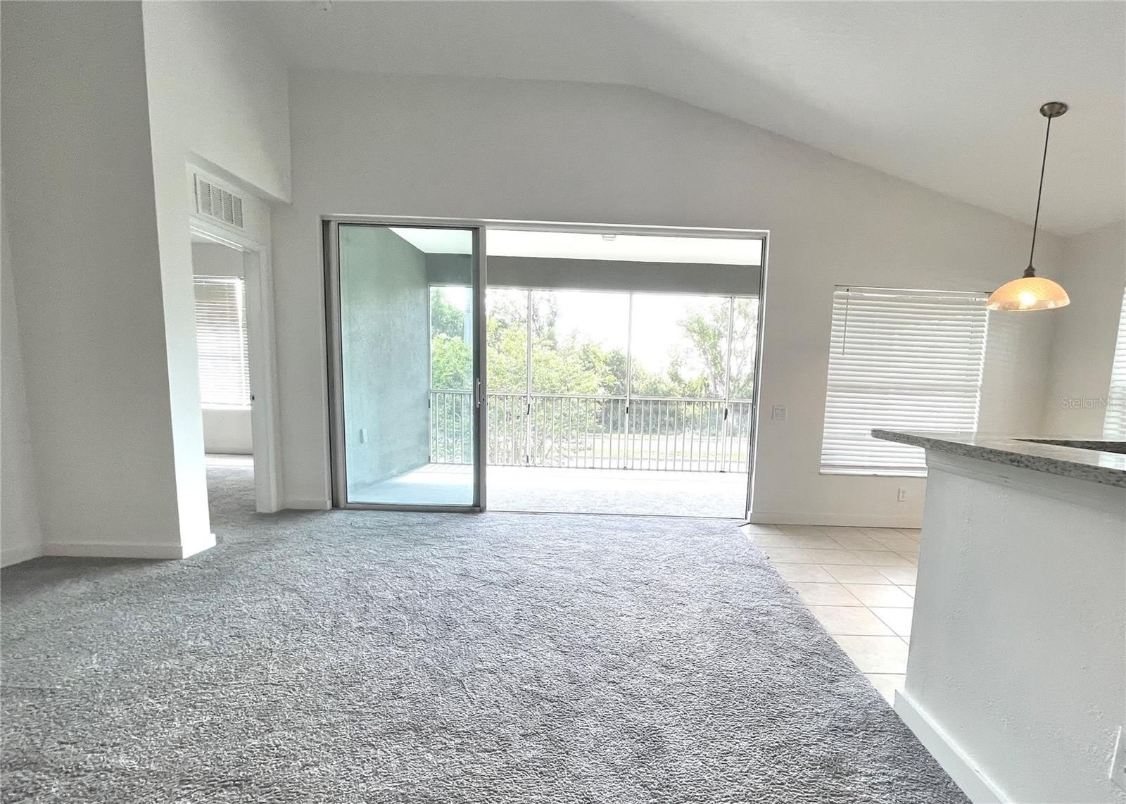 2096 KINGS PALACE Drive – photo 5