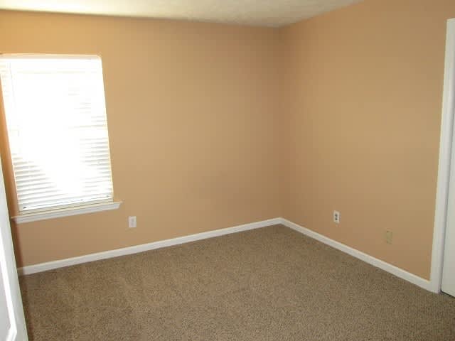 Cozy 3 Bedroom, 2 Bath Home in Saddlebrook – photo 5
