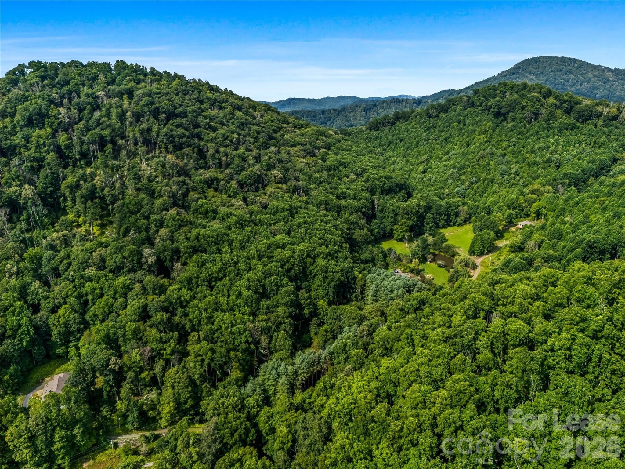 81 Summer Trees Lane – photo 5