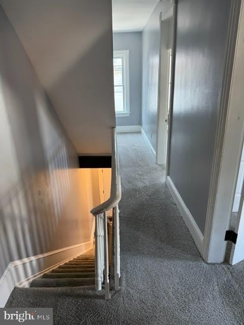 110 ELM Street – photo 5
