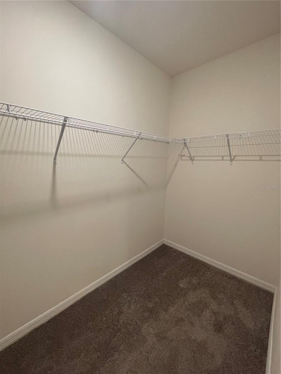 33952 JASPER STONE Drive – photo 5