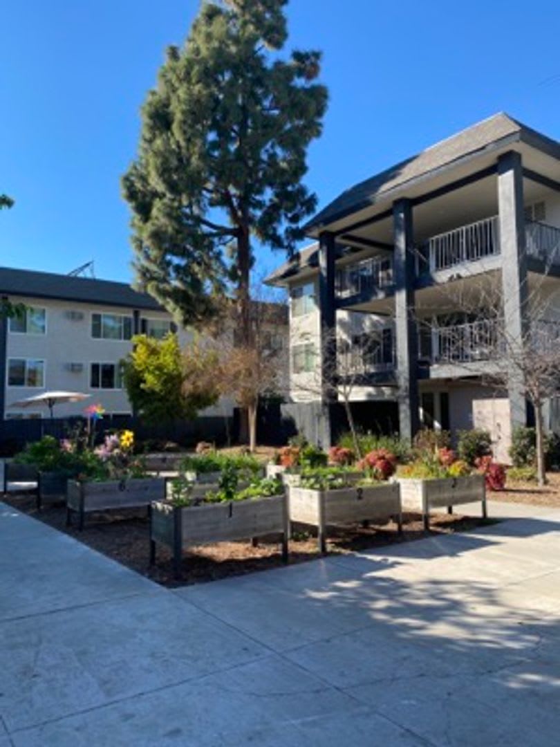 Miracle Terrace Senior Affordable Housing – photo 2