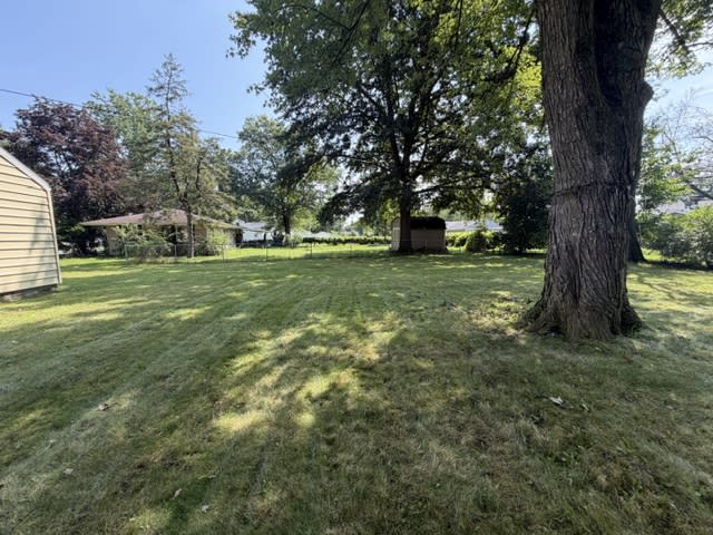 1315 Laurel Street – photo 5