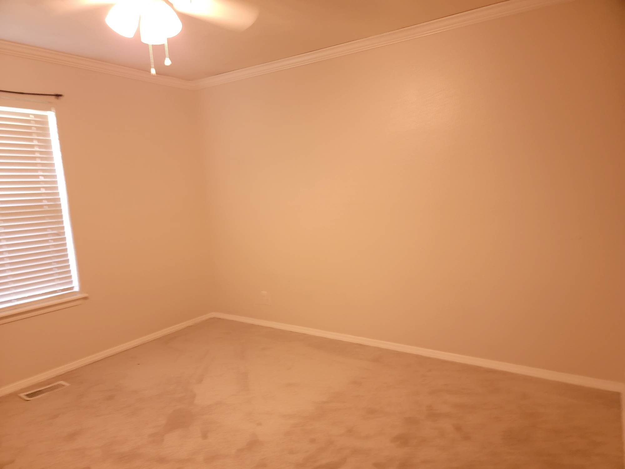 312 Rosanne Street – photo 4