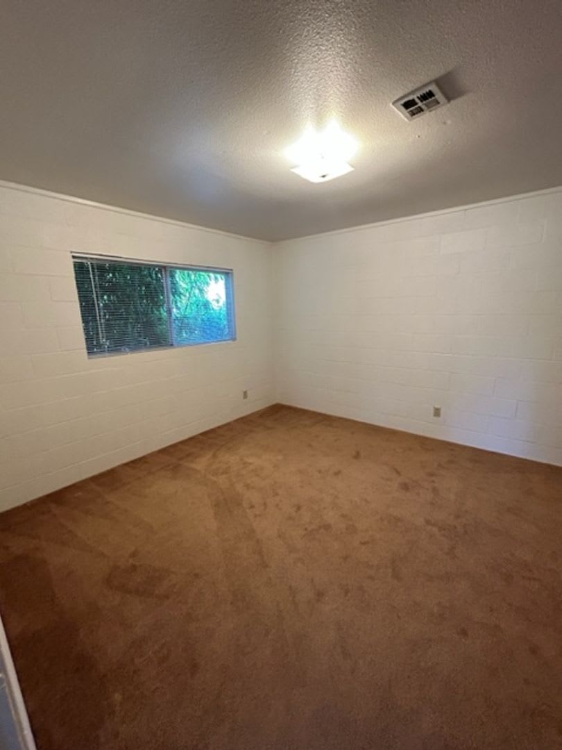 Unique Apartment for Rent in Cottage Grove – photo 4
