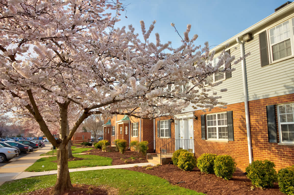 Kingsley Commons – photo 2