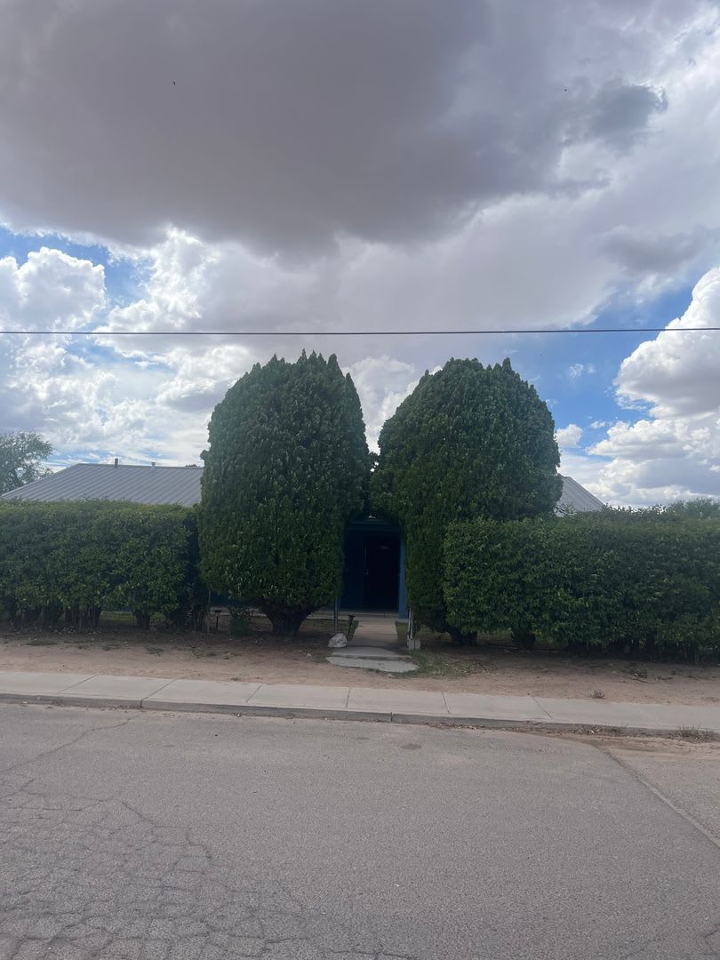 Charming 4 Bedroom 2 Bathroom Home In The Middle Of Benson Az – photo 2