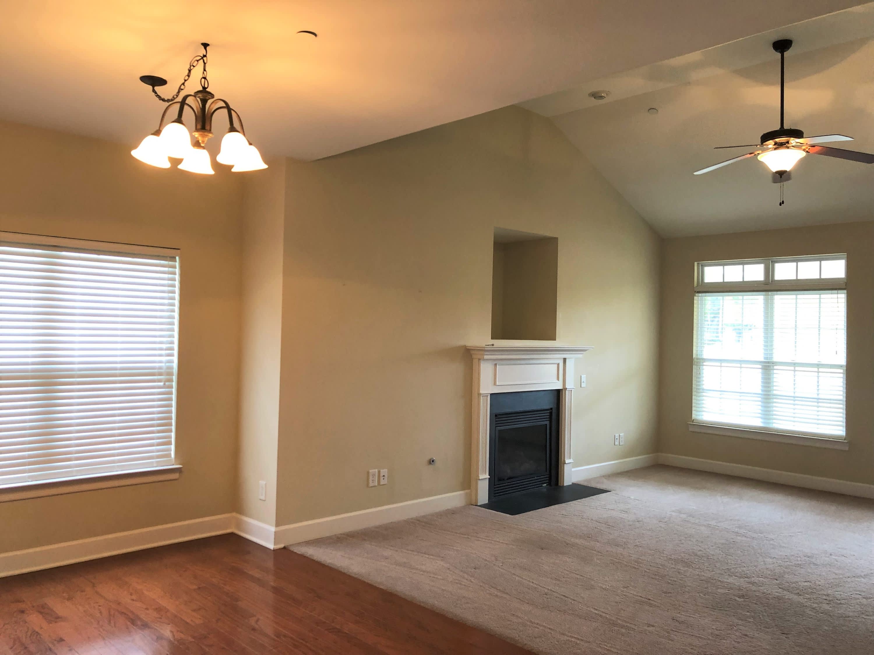 247 Dobson Branch Court – photo 5