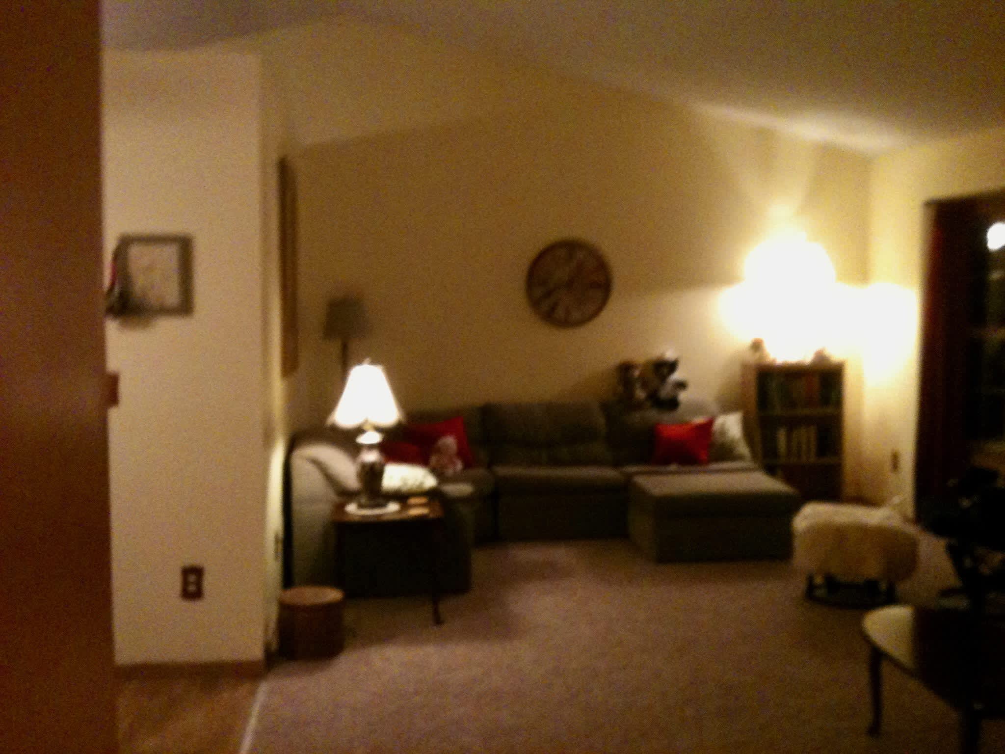 1493 Wood Duck Rd – photo 4