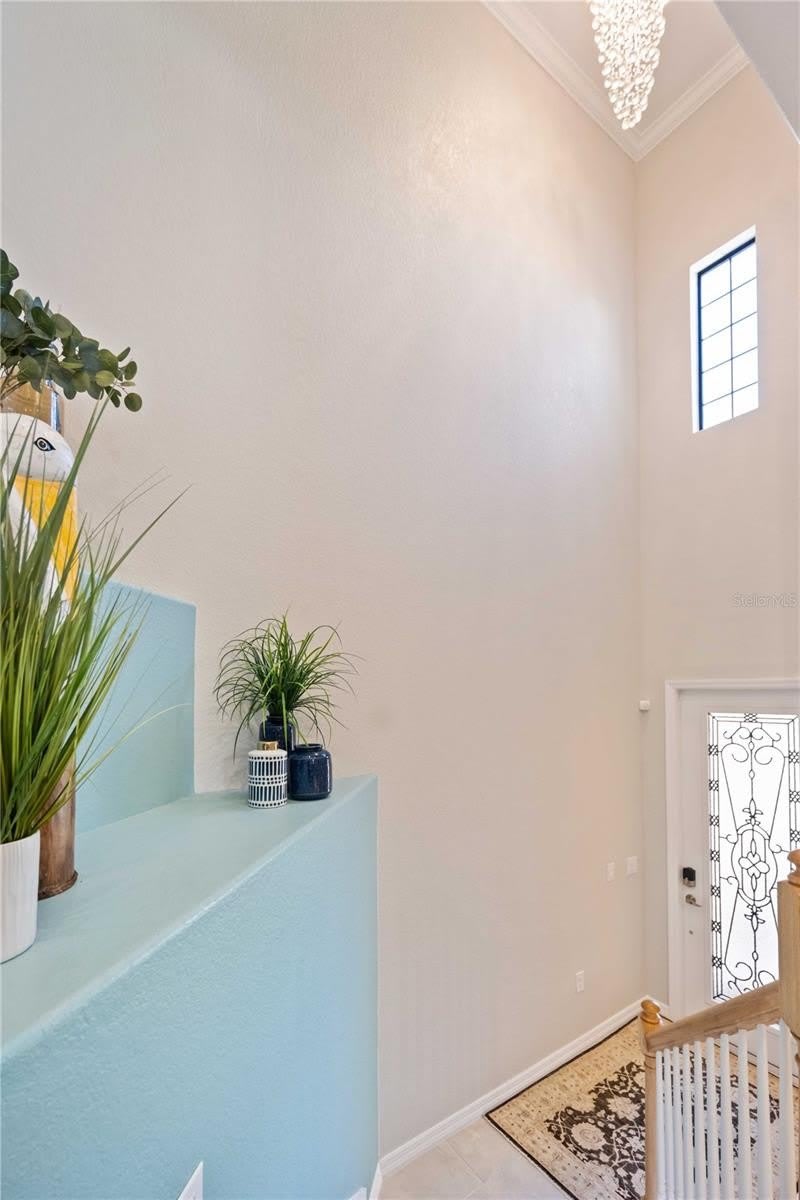 10817 TARFLOWER Drive – photo 2