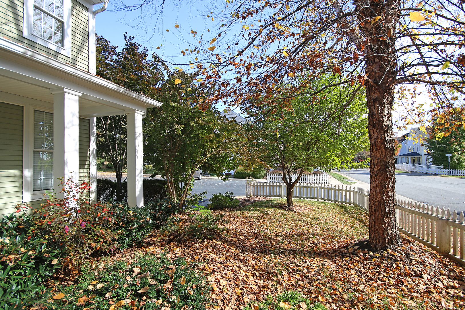 Move-in Ready + Dog Friendly End-Unit Crozet Home – photo 2