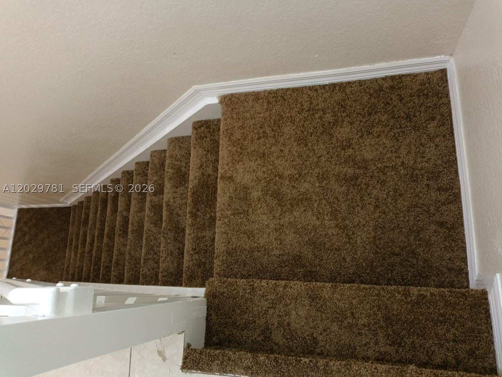 1936 Alamanda Way – photo 3