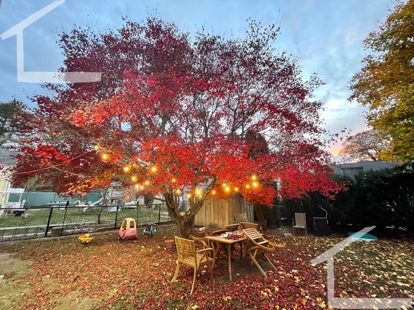 Large 4 bed in Newton – photo 2