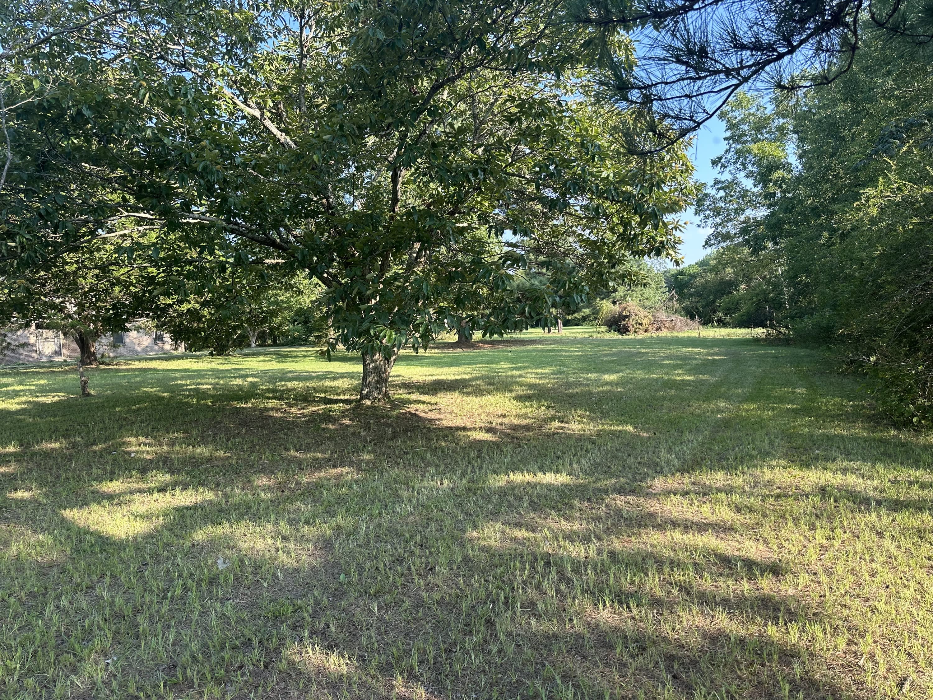 6545 County Road 53 – photo 2