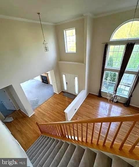 1 CARDIFF Court – photo 4
