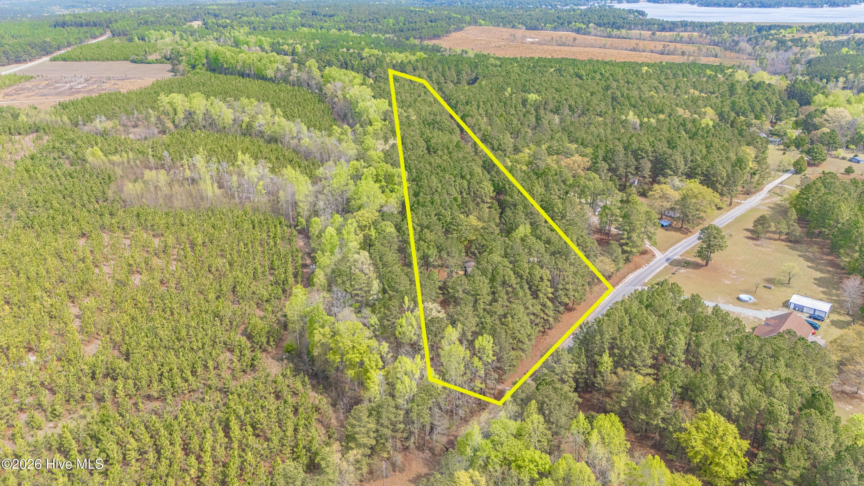 287 Candy Road – photo 5