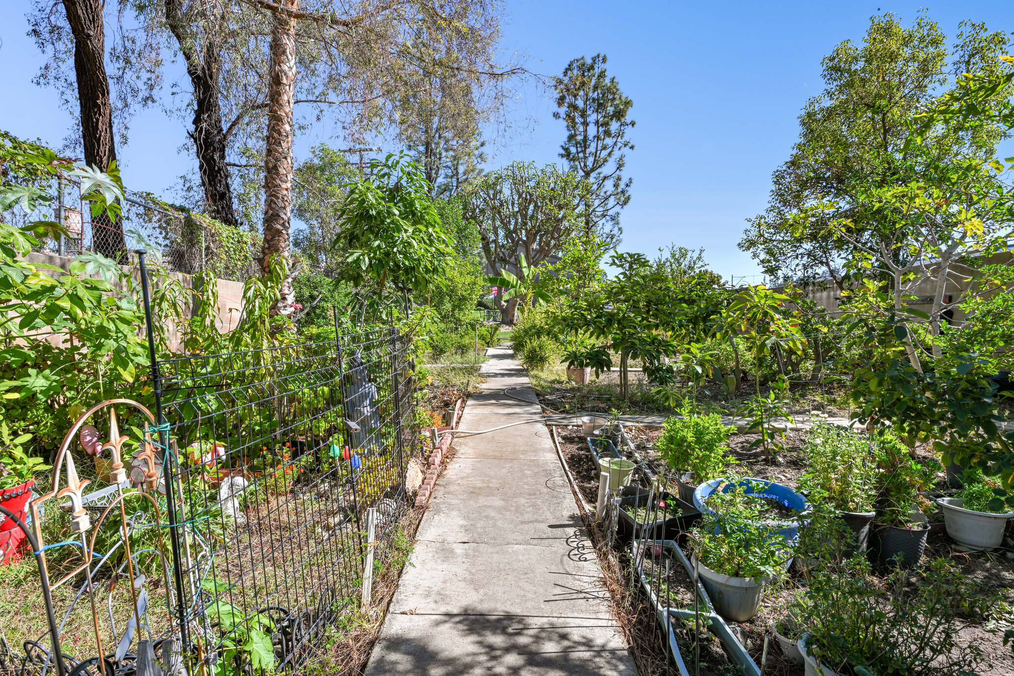 Sunnyside Senior Apartments – photo 4
