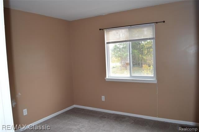 40433 Bluesprings Court – photo 5