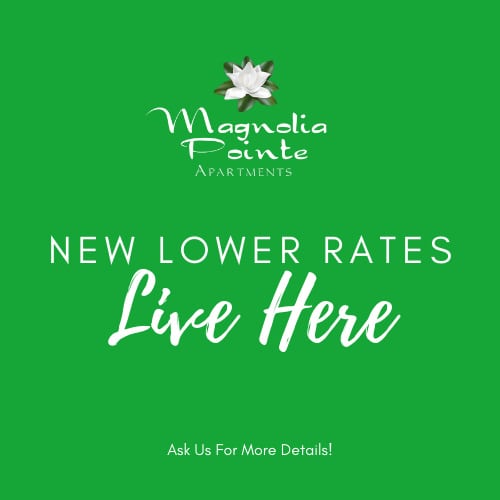 Magnolia Pointe – photo 4