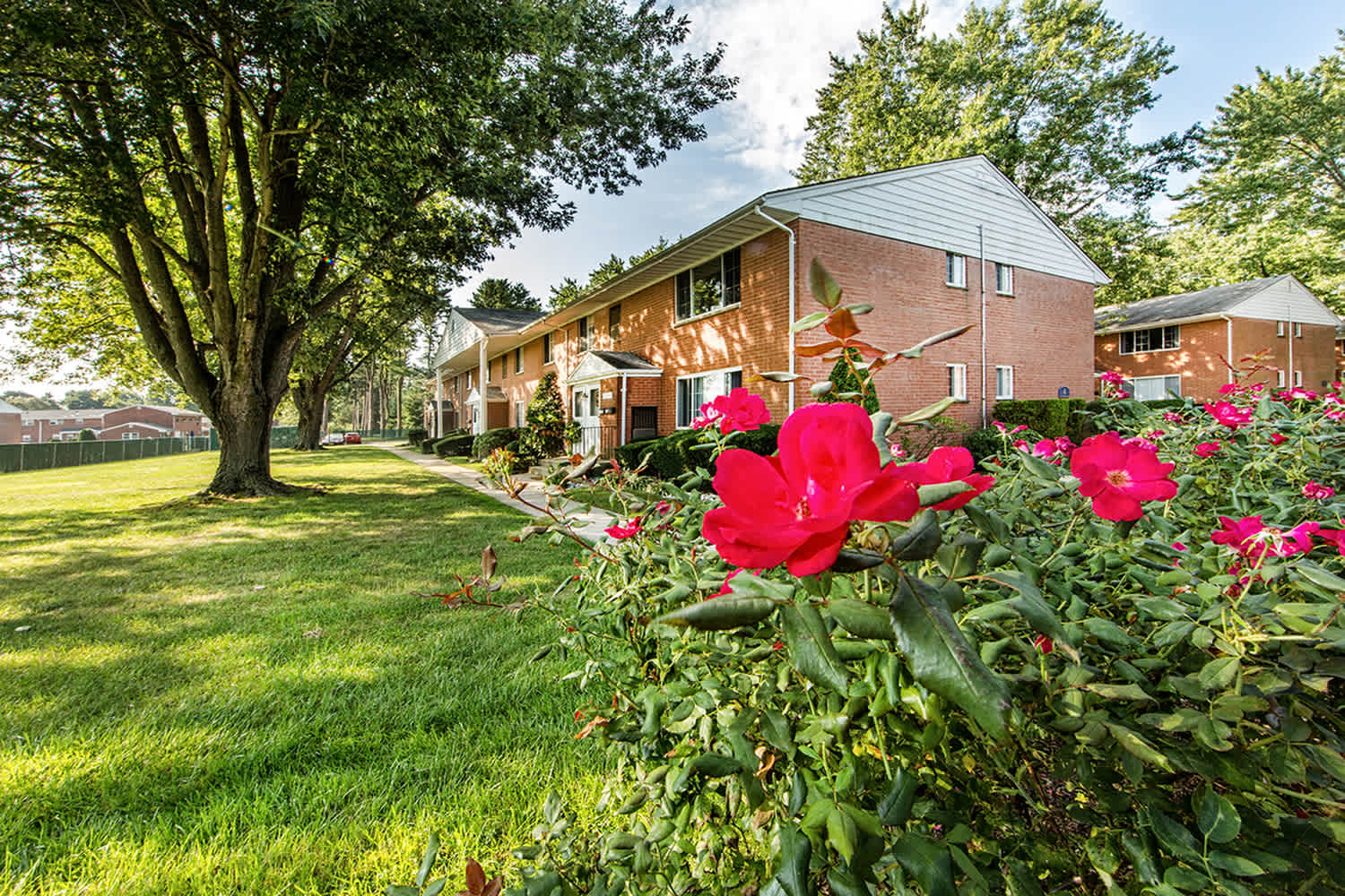 Homestead Gardens Apartments – photo 4
