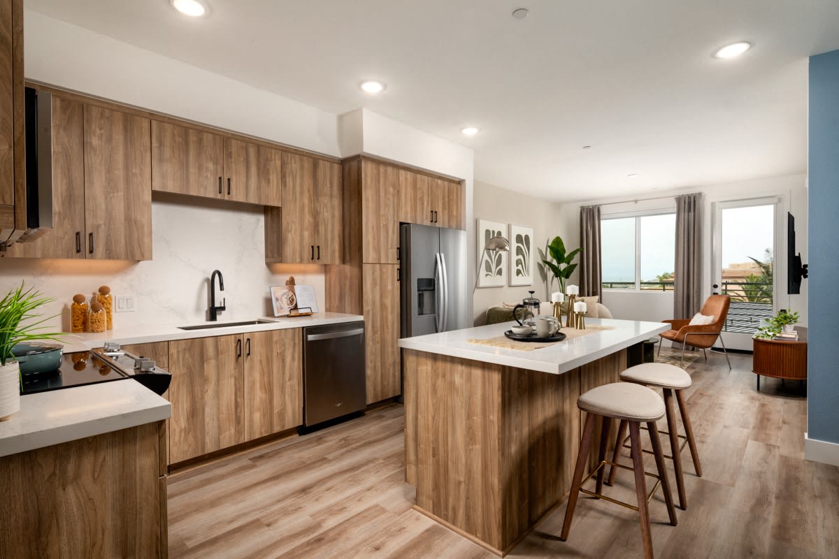 Triton Encinitas – photo 4