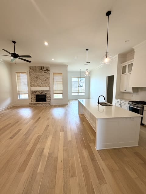 4148 Palo Pinto Creek Circle – photo 4