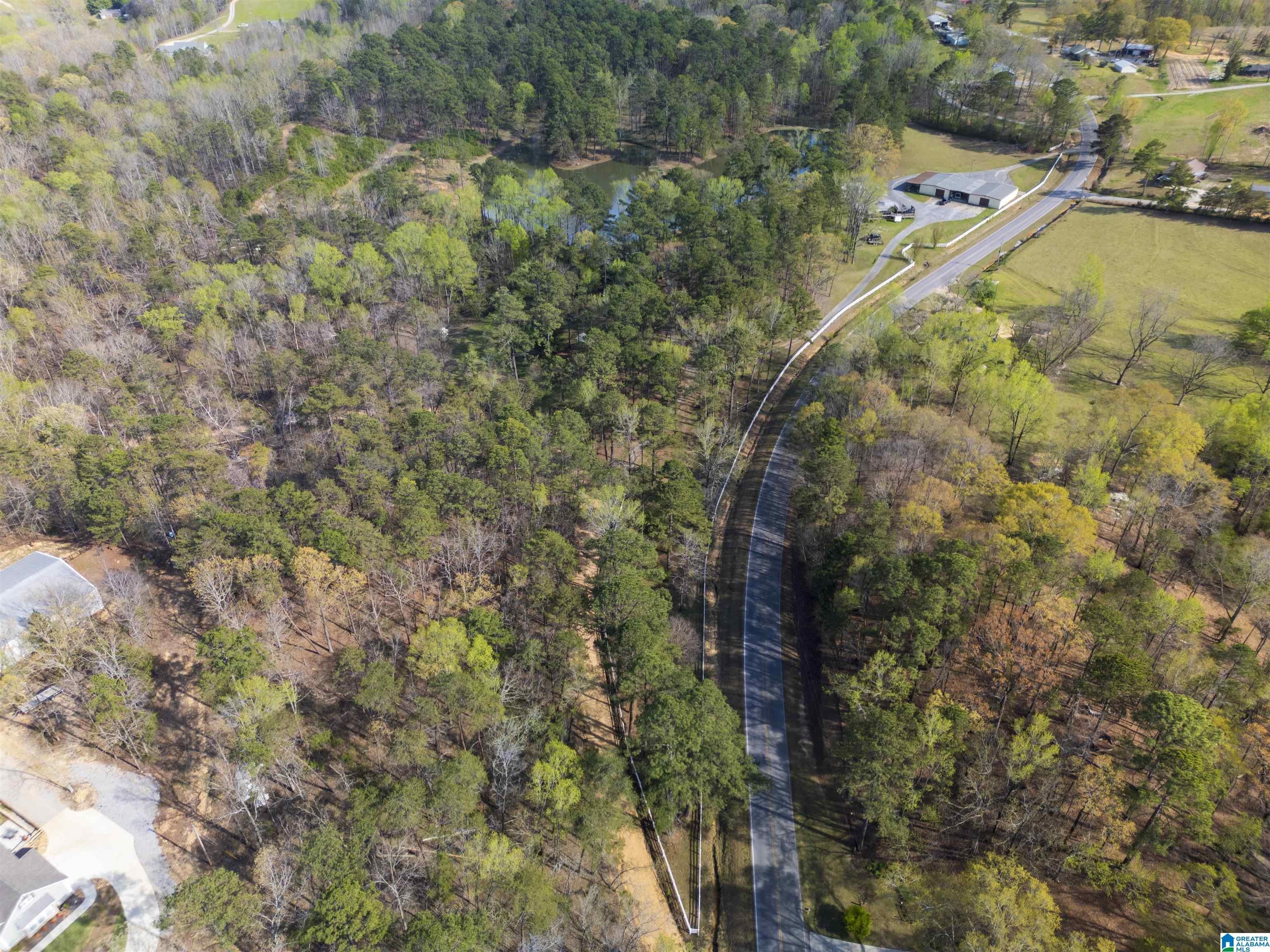 4083 COUNTY ROAD 158 – photo 2