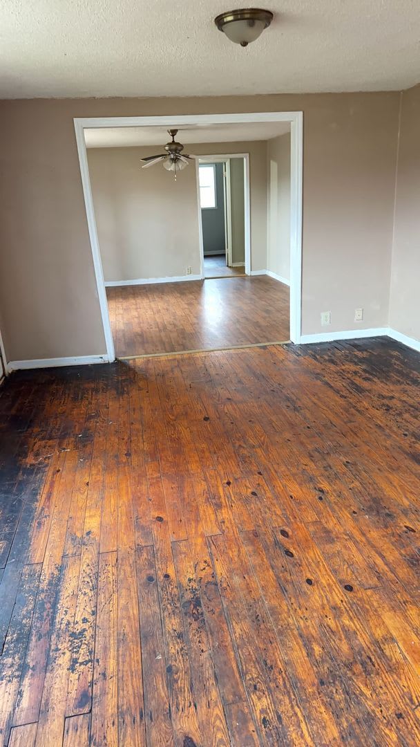 593 Perdue Place Greenville – photo 3