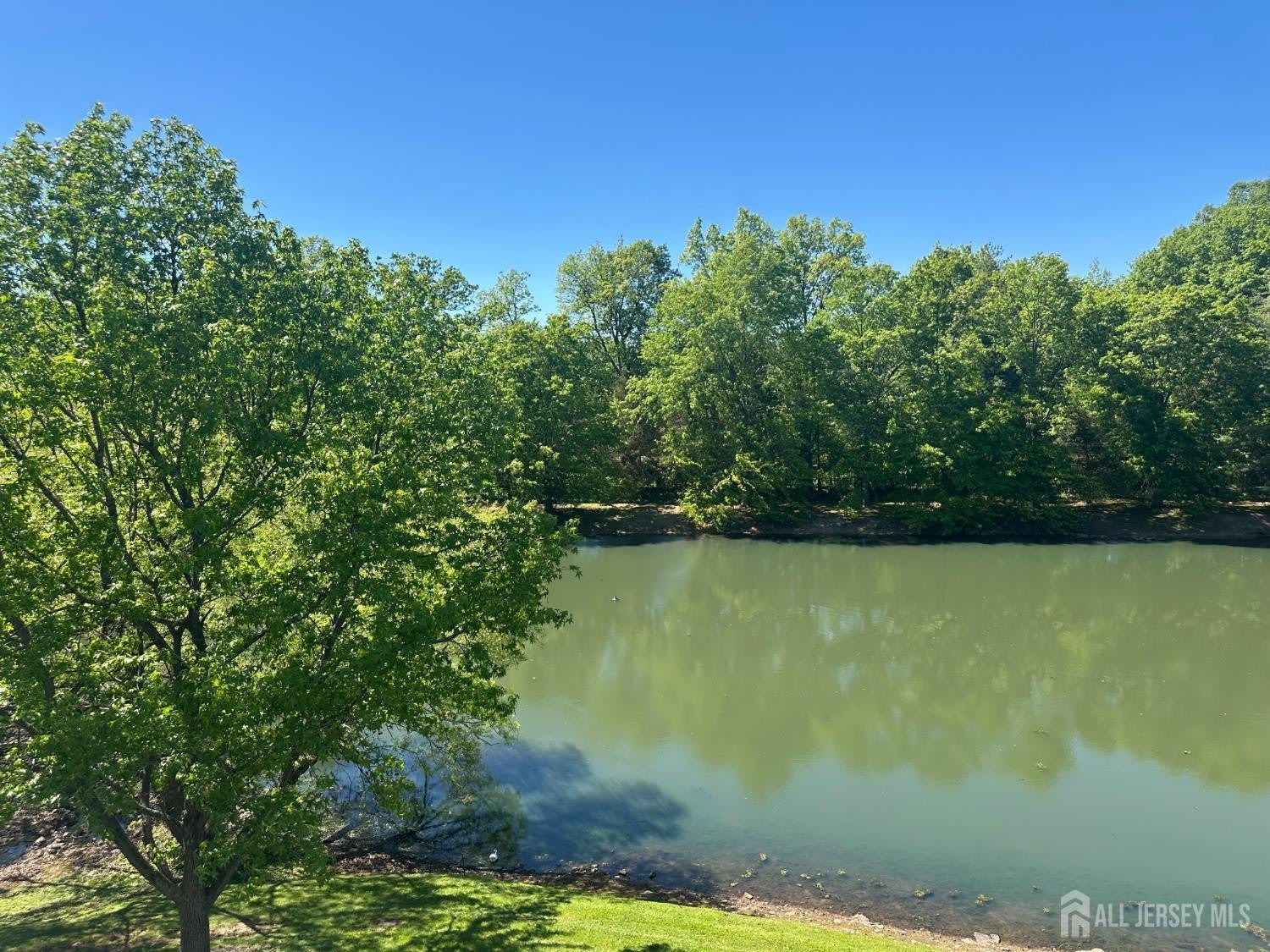 304 Wimbeldon Court – photo 3