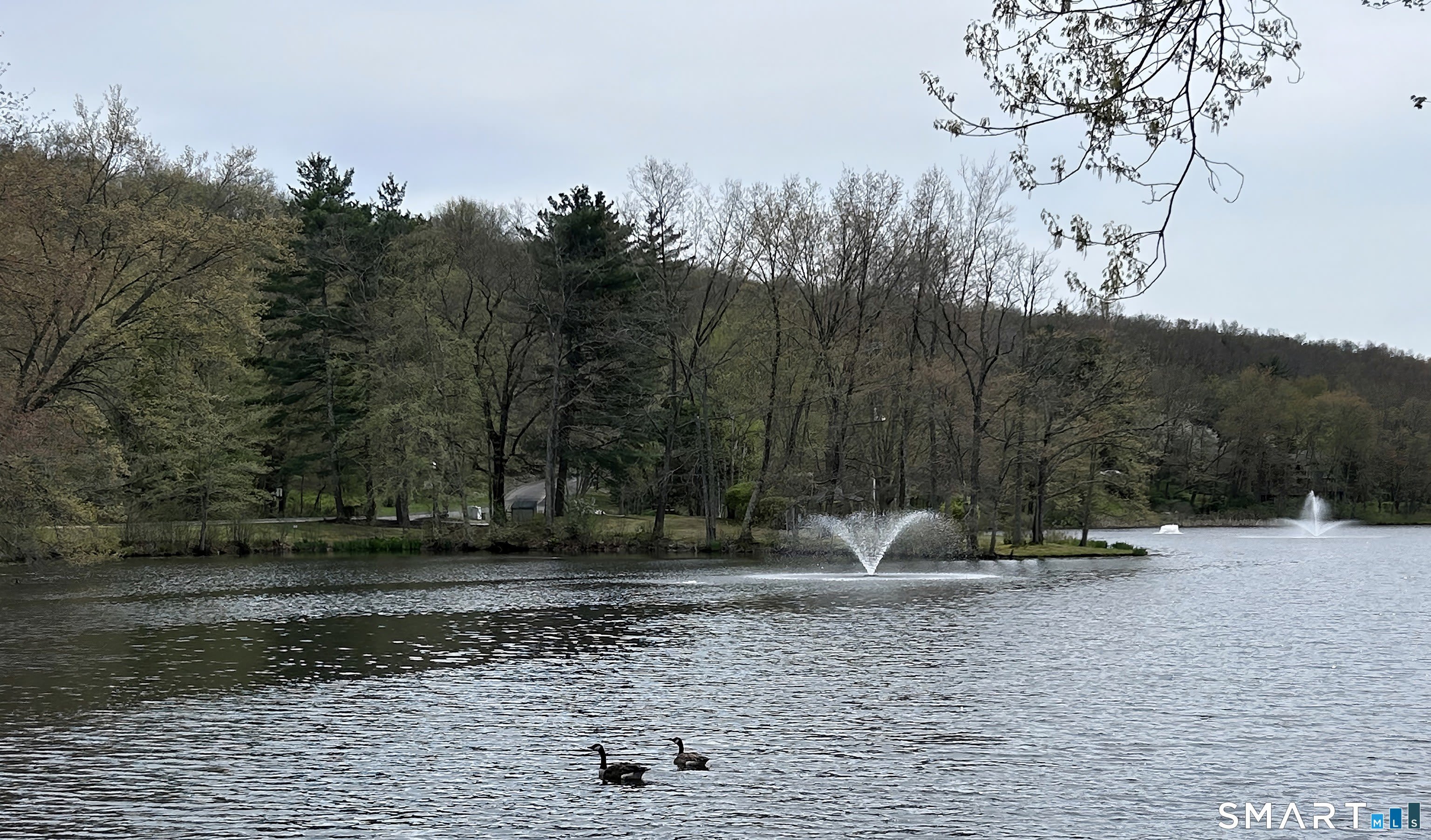 54 Clubhouse Drive – photo 5