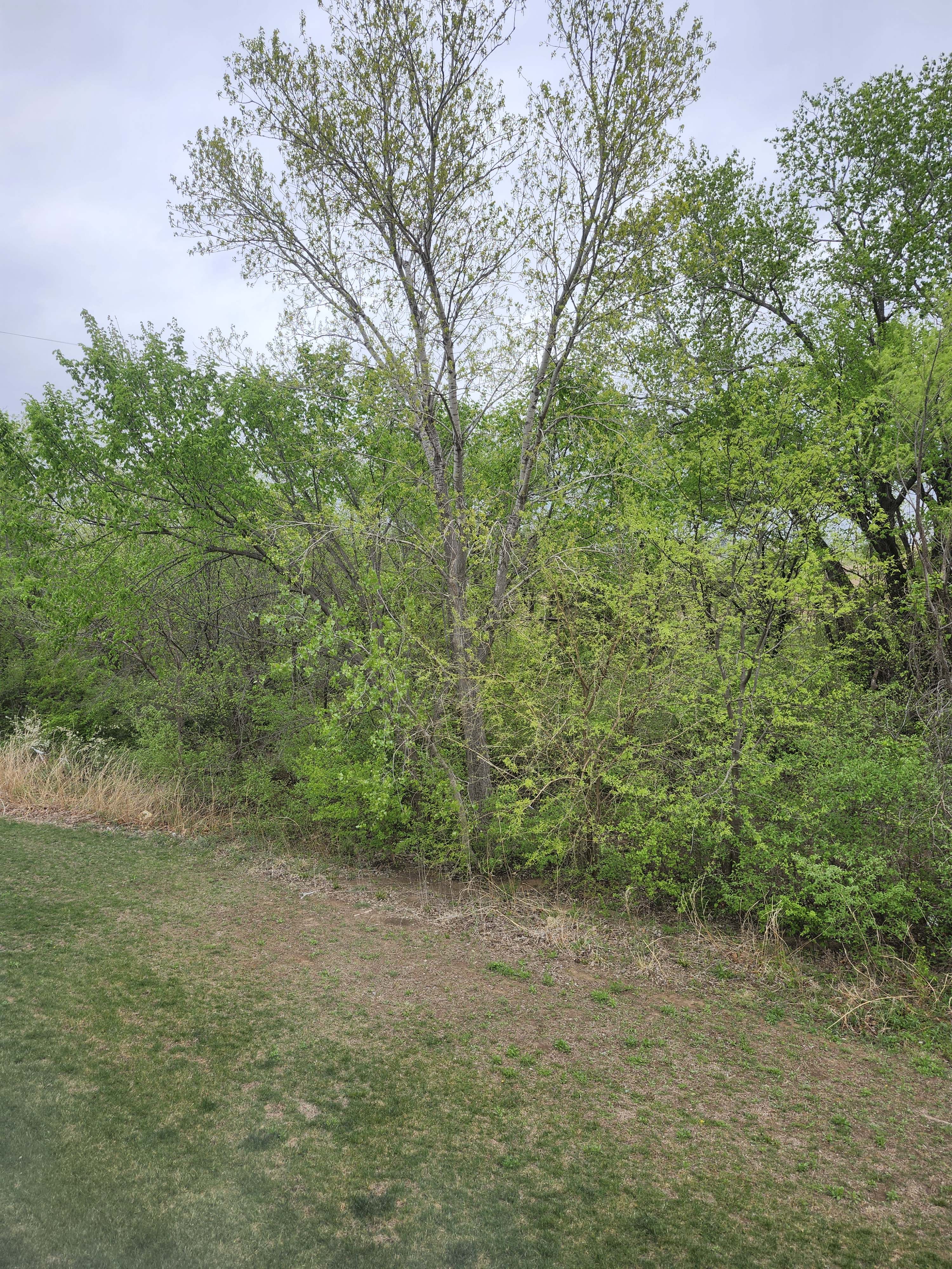 1723 N Newberry Ct – photo 4