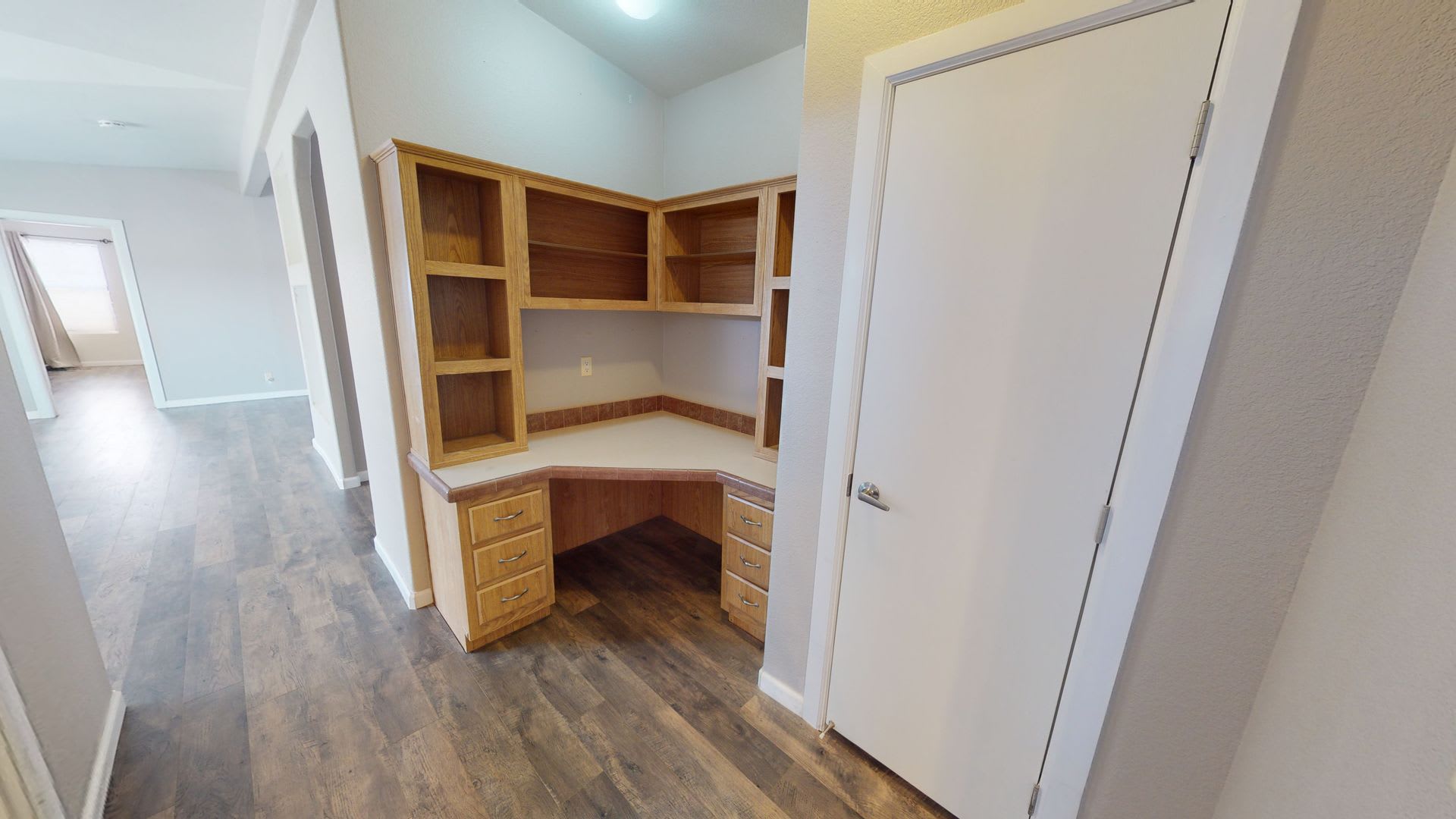 2505 Silver Dollar Loop – photo 4