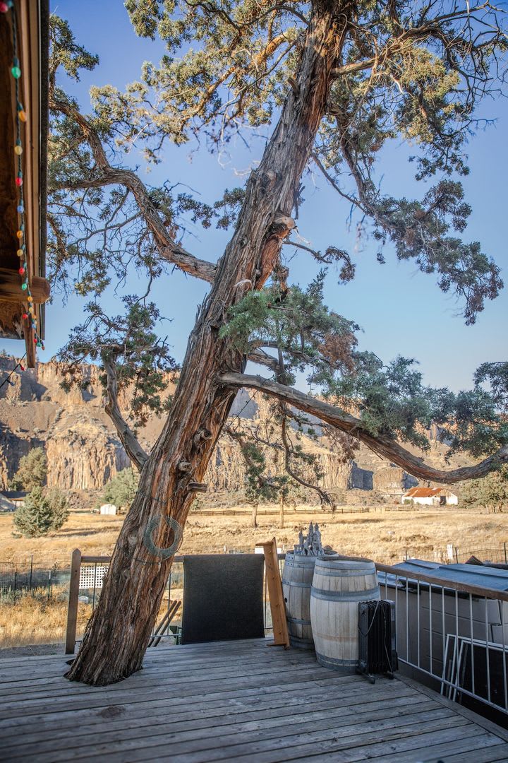 Historic Farmhouse in Crooked River Ranch Available! – photo 3