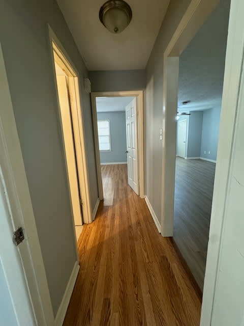 218 Pekin St. – photo 4