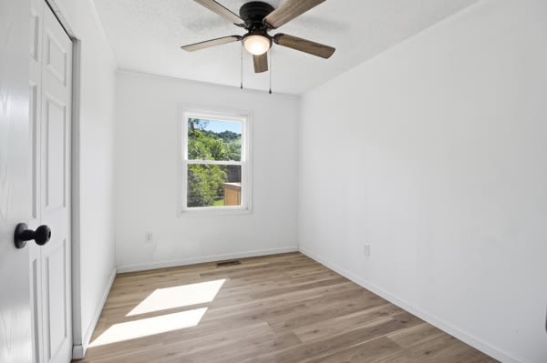 4605 Corbin Branch Rd – photo 5