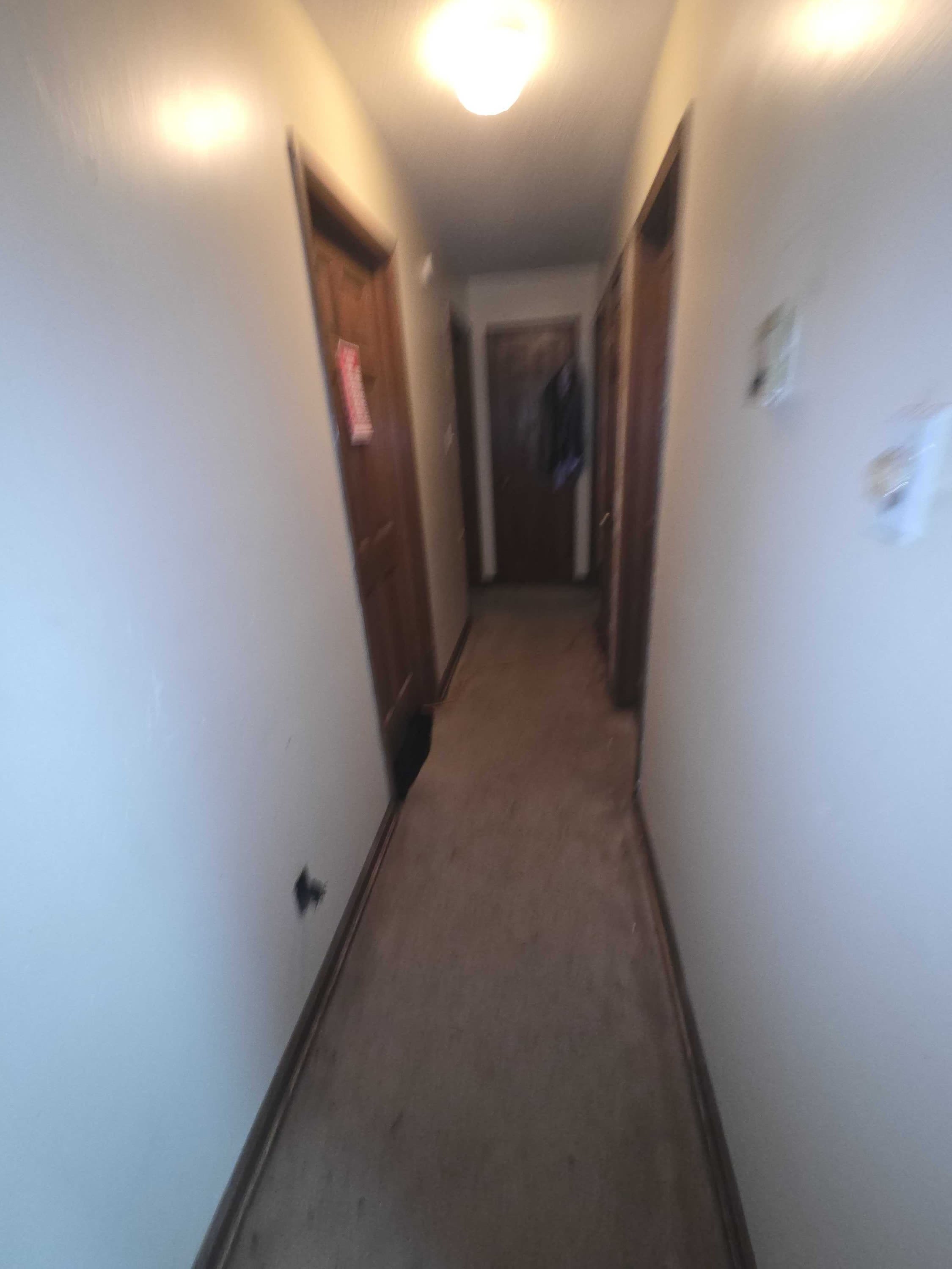 5011 Ridge Tree Drive – photo 4