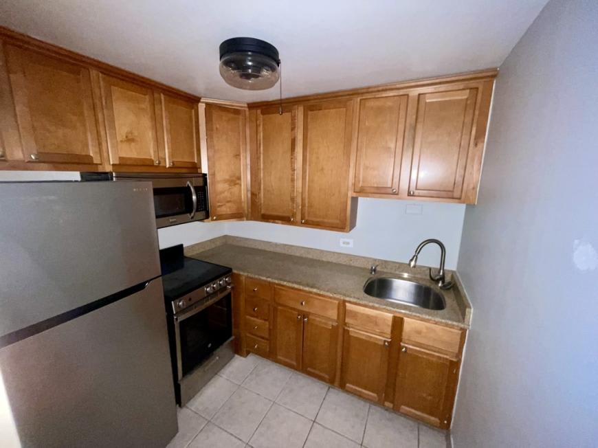 233 East Erie – photo 1