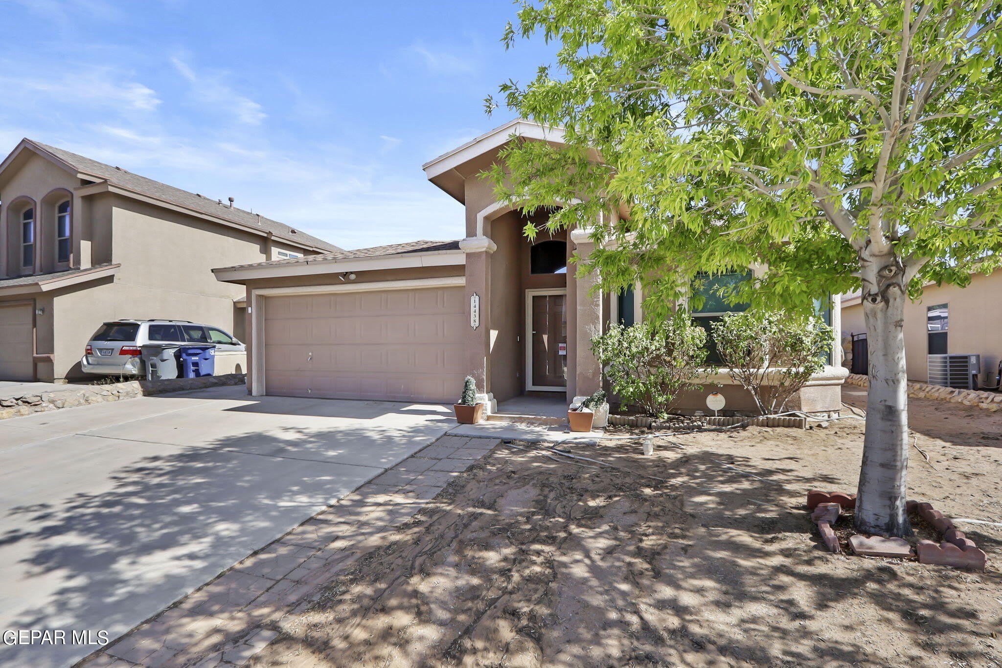 14438 MIGUEL TERRAZAS Drive – photo 4
