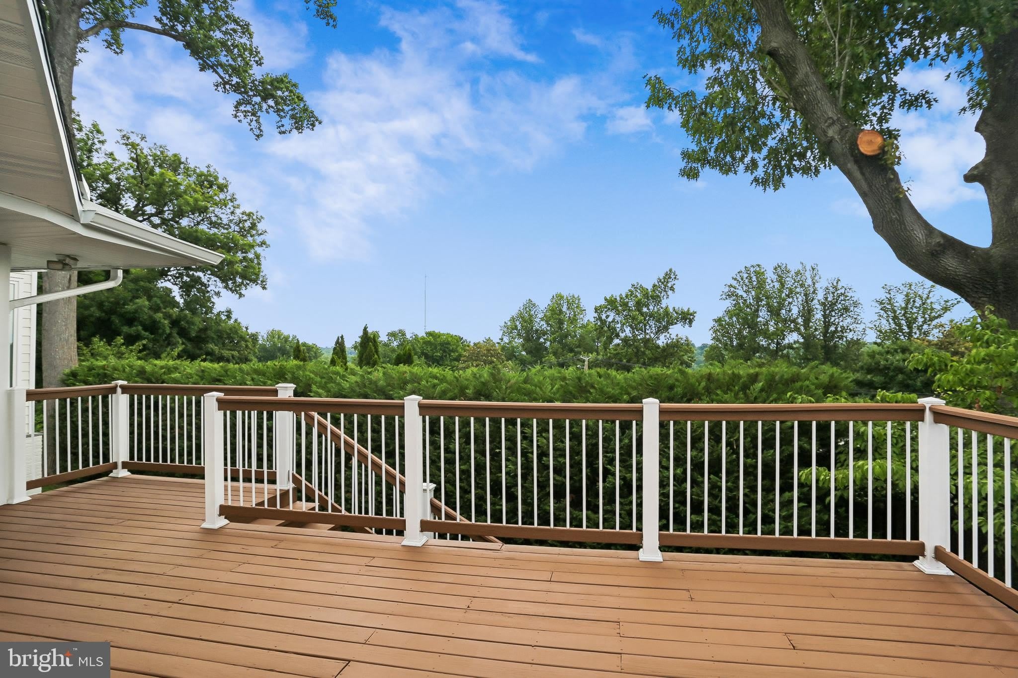 3301 SHIRLEY LN – photo 5
