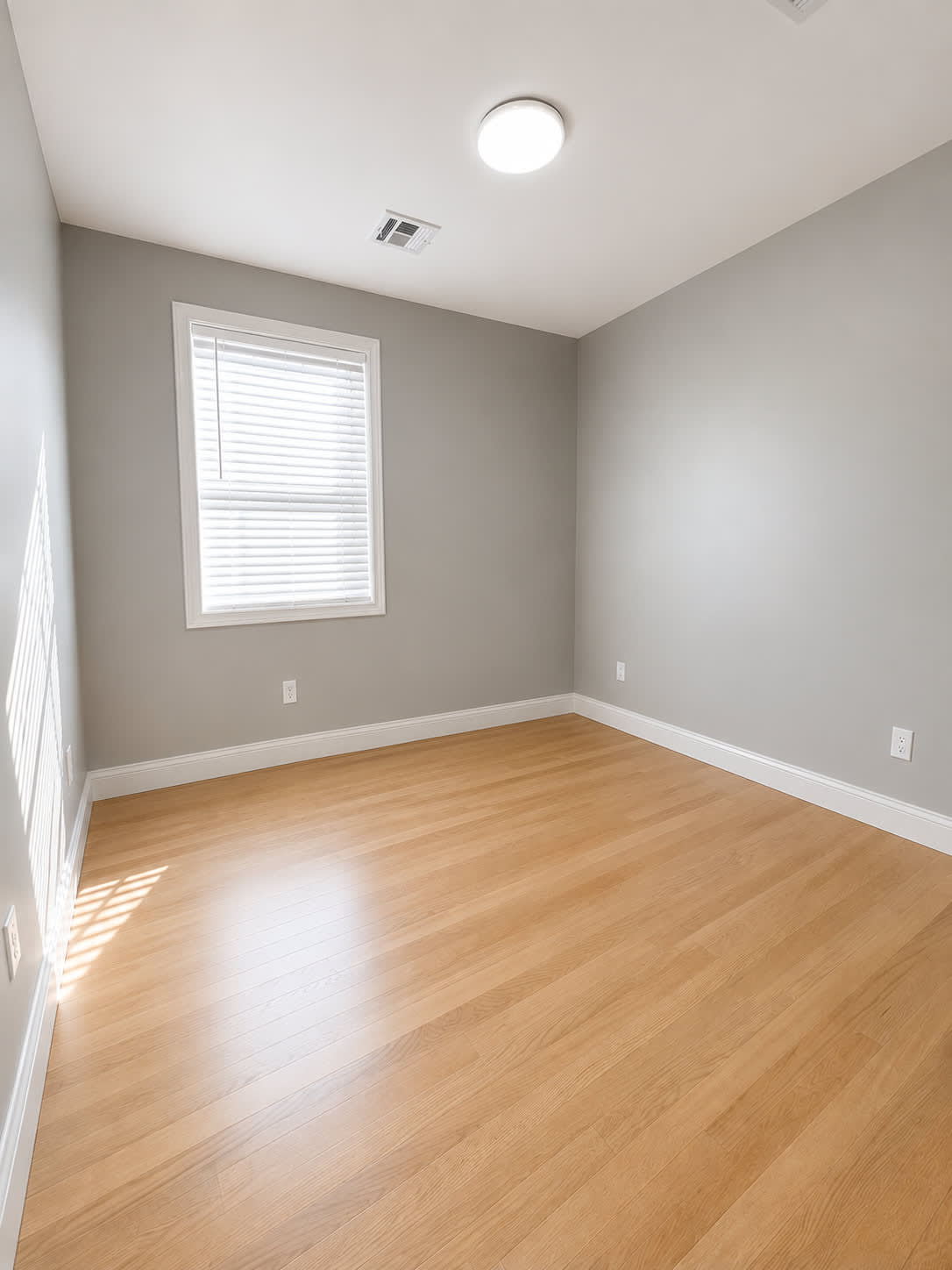 31 Vandewater St – photo 5