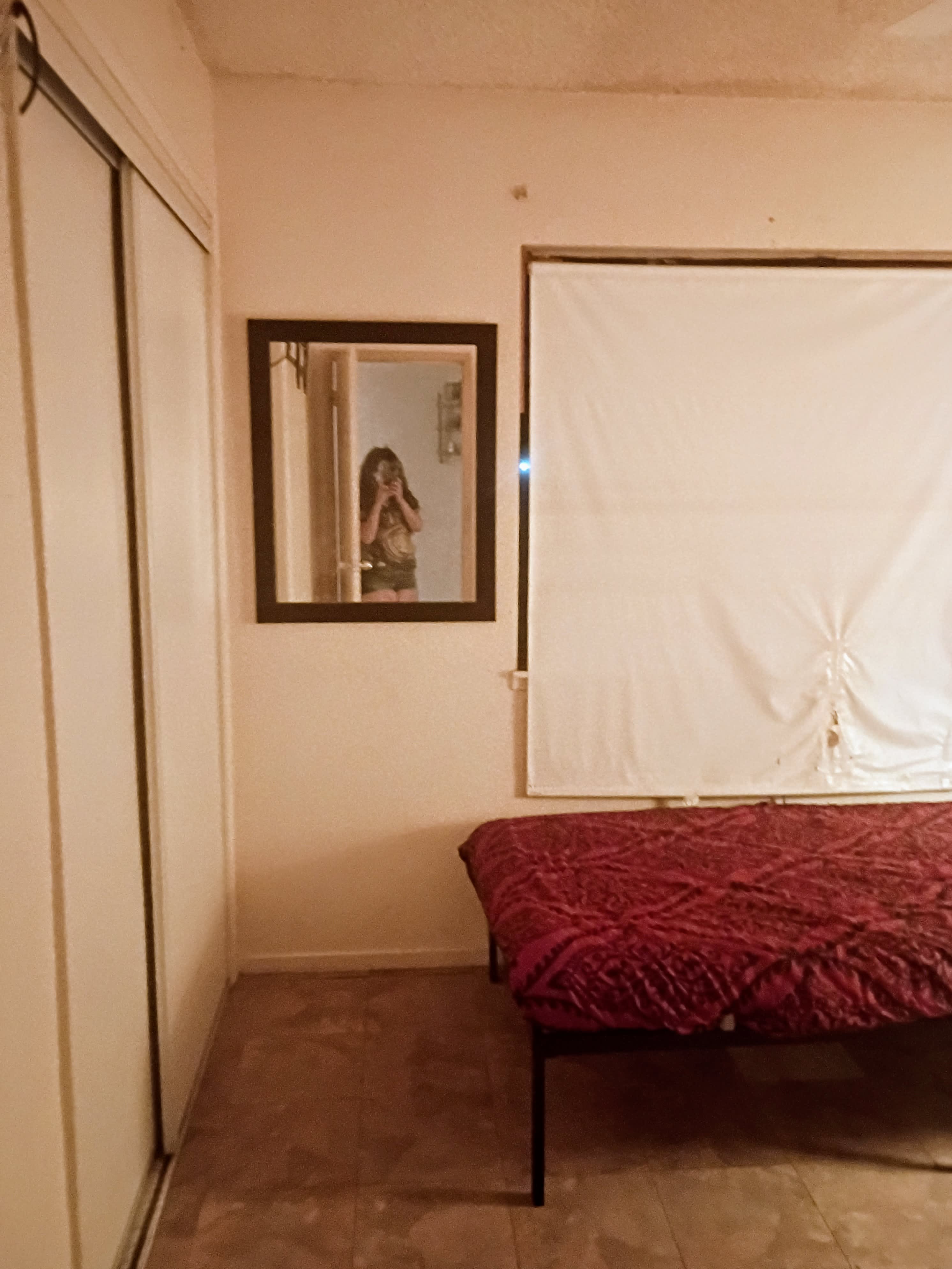 3713 Pacino Court – photo 3
