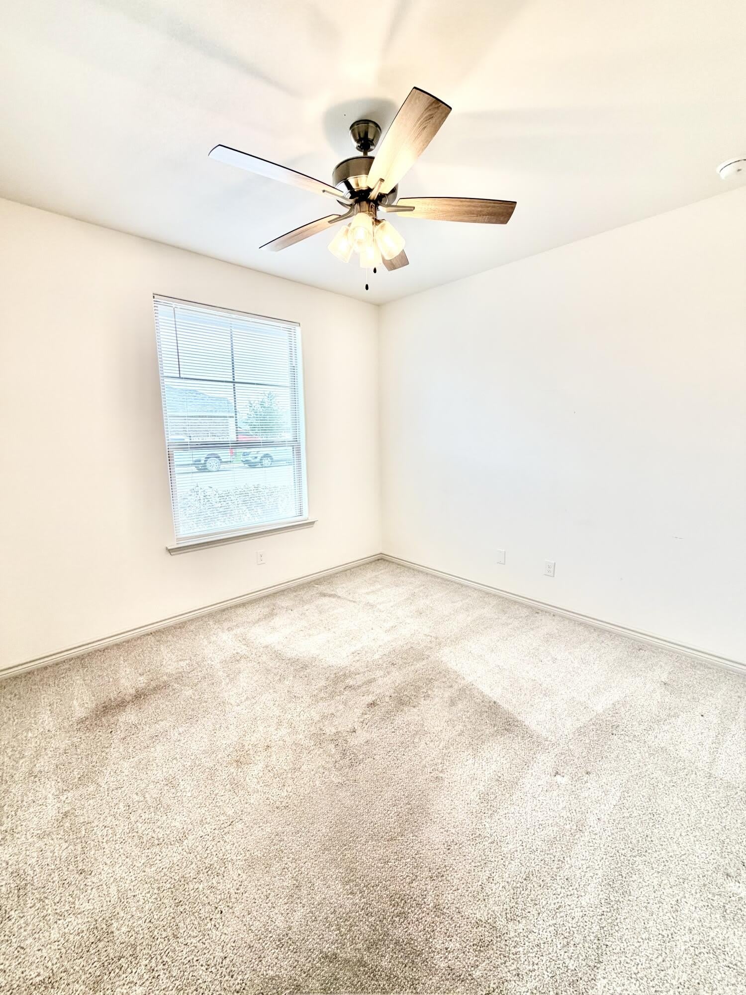 5401 Lamont Avenue – photo 3