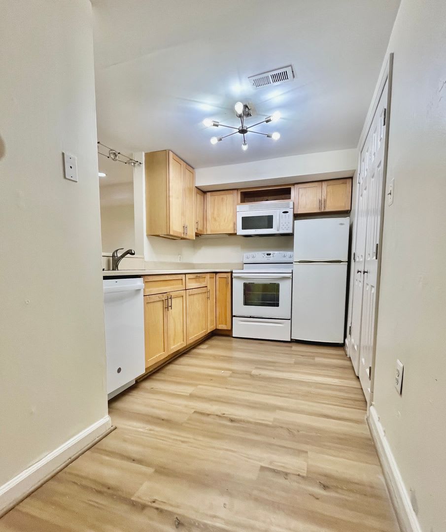Columbia Heights 900 Sqft 2Bd 1Bth Townhouse English Bsmt Apt Shared Back Patio – photo 5
