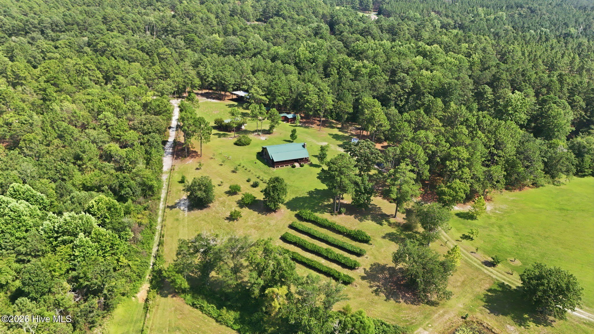 5103 Hillmon Grove Road – photo 3