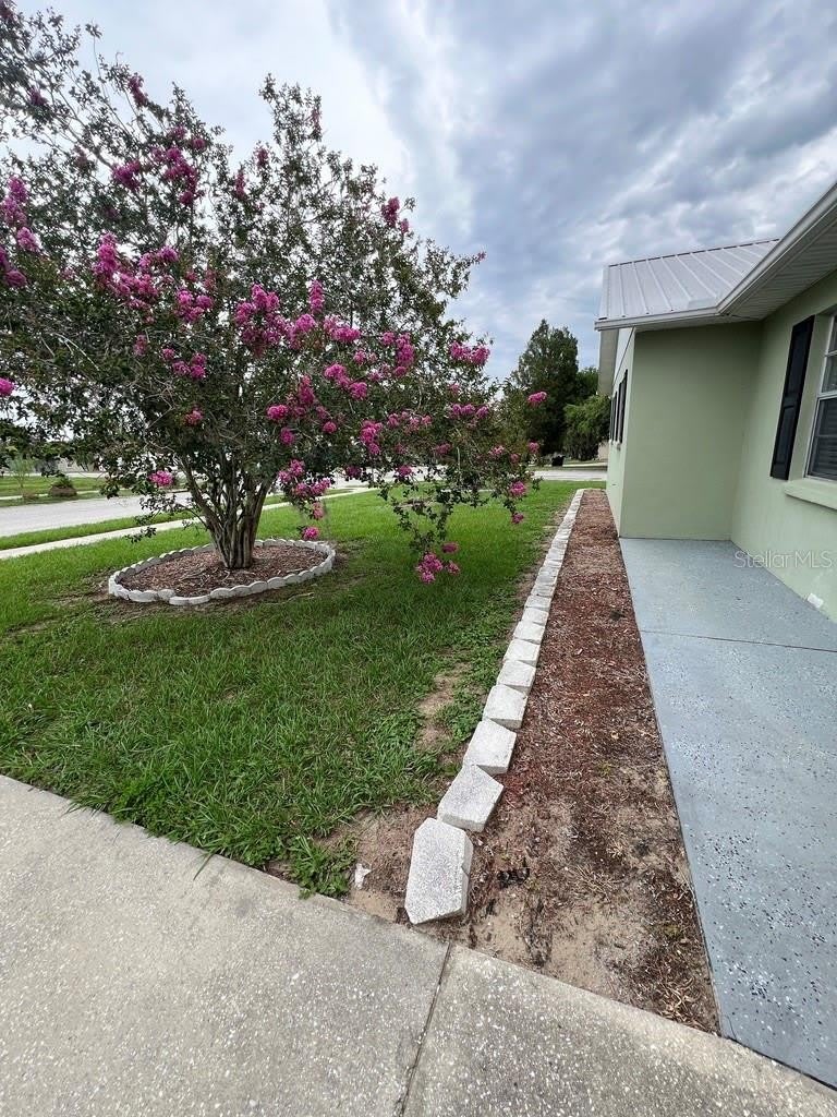 38822 MARGS Court – photo 2